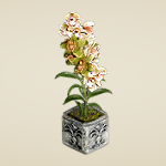 Simbidium Orchids in Stoneware Urn