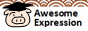 Awesome Expression